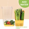 LUVCOSY Fresh Herb Keeper for Refrigerator, Clear BPA-Free Herb Saver,