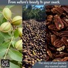 Oh! Nuts Pecans Dry Roasted Salted - All Natural Salted