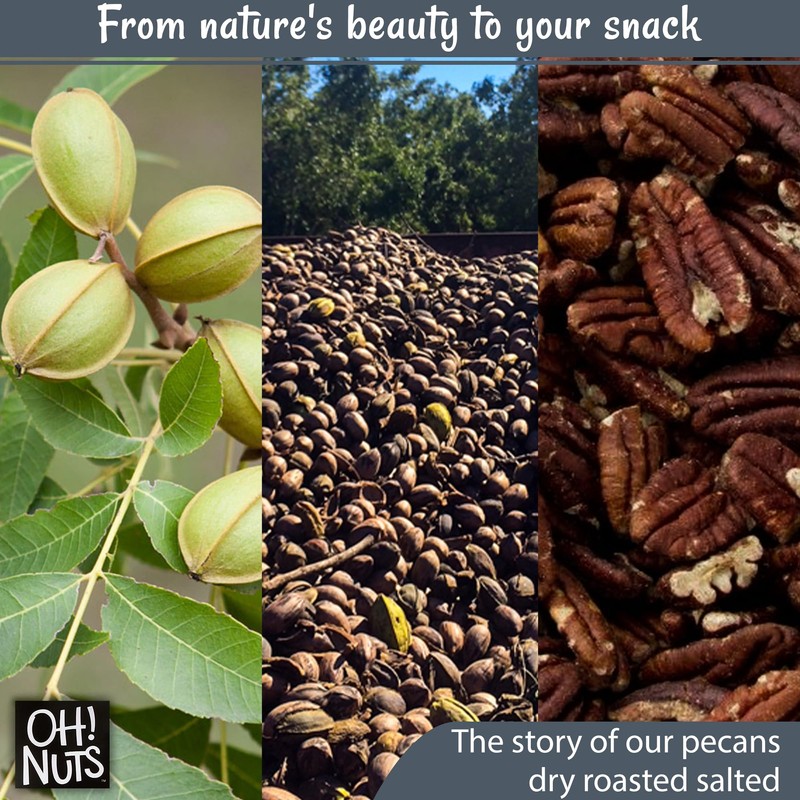 Oh! Nuts Pecans Dry Roasted Salted - All Natural Salted