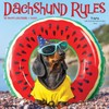 Willow Creek Press Dachshund Rules Monthly 2025 Wall Calendar (12"