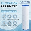 DAYEAR Pool Filter Cartridge Compatible with CS200, PJANCS200, C-8418, FC-0823,
