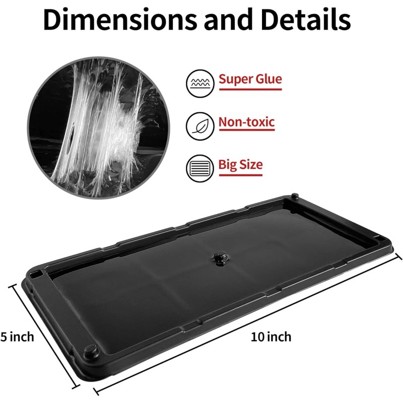 LULUCATCH Super Glue Traps 6 Pack for Mice & Snakes,