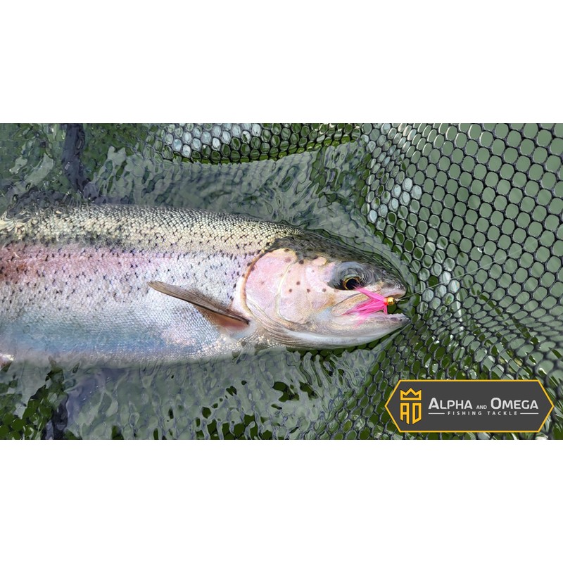 ALPHA and OMEGA - Woolly Bugger Fly KIT (20 Flies)