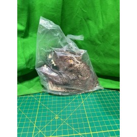 Dinosaur Childrens Hand Puppet by New Canna