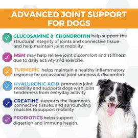 Progility Hip & Joint Supplement for Dogs – Daily Mobility & Joint Support with Glucosamine, Chondroitin & MSM, Soft Chews (90 Count)