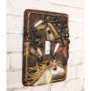 Ebros Gift Set of 2 Western Rustic 4 Colorful Wild