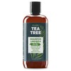 Shampoo Limpieza Profunda e Hidratación Life180 con Tea Tree y