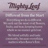 Mighty Leaf Té Verde Matcha Orgánico En Polvo 85 G