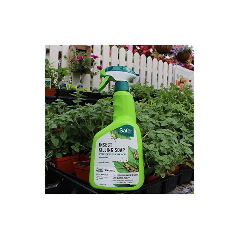 Safer Brand insect Killing Soap 32oz RTU - 6 pack