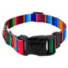 Country Brook Petz - Deluxe Serape Dog Collar - Made