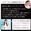 nichie フィッシュ コラーゲン 100% 一番抽出 低分子 パウダー ベーシック 500g