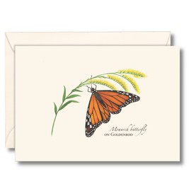 Earth Sky + Water - Monarch Butterfly on Goldenrod - 8 Blank Cards with Envelopes