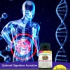 Mejores Probióticos | Plus Prebióticos: Intestino Intensivo de Espectro Completo, Soporte Vaginal