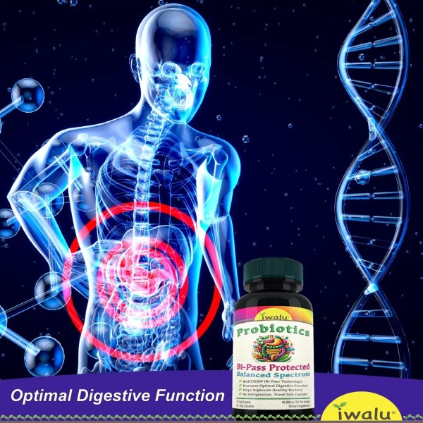 Mejores Probióticos | Plus Prebióticos: Intestino Intensivo de Espectro Completo,