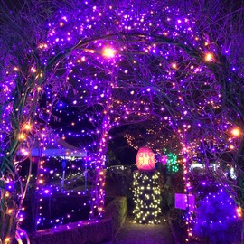 Cadena de luces solares para exteriores, 200 luces LED solares para exteriores con 8 modos, luces solares para exteriores impermeables para patio, valla, balcón, fiesta, decoración de árbol de Navidad