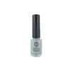ROYAL BEACH Royal Beach Color Change Nail Silver to PURPLE