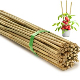 SWANGSA 65 Pack 6 Feet Garden Bamboo Stakes for Plant Support, Garden Poles for Tomatoes, Beans, Flowers, Potted, Indoor and Outdoor Climbing Plants