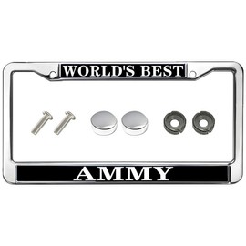 World's Best Universal US CA Car License Plate Frame Woman's Day Gift Stainless Steel Car Licence Plate Covers Woman's Day Gift Car Accessories License Plate Frame Cute