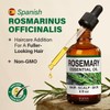 KUKKA essential oils Rosemary Oil for Hair – Huge 4