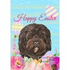 Cavapoo Black - Best of Breed - HHS Easter House