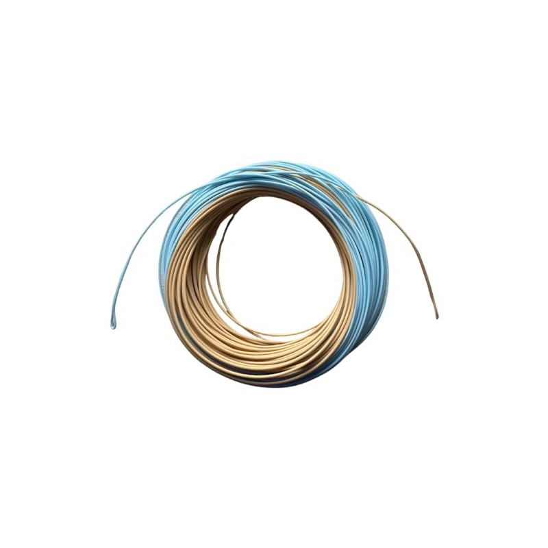 BestCity Fly Fishing Saltwater Line WF10f dual colour Blue and