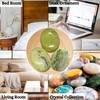 Amazing Gemstone Serpentine Crystals and Healing Stones - Large Palm