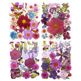 Dried Pressed Flowers Leaves kit for Resin Molds,Real Natural Dry Pressed Flowers for Nails Art Phone Cases Scrapbook Supplies Card Soap Candle Jewelry Making (Purple 100Pcs)