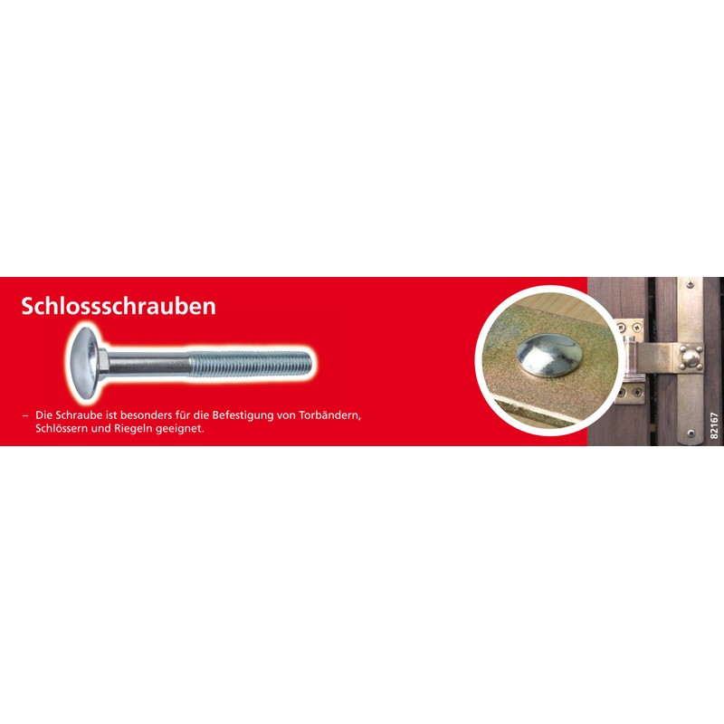 Suki.International 6112028 Carriage Bolt M Galvanised 4.6 TG DIN 603