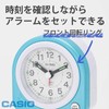 Casio Analog Travel Clock