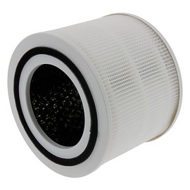 Staubi-Express 2 x Filters Compatible with Levoit Core 300 / Core P350 / Core 300-RAC Air Purifier Air Filter I Filter with Activated Carbon