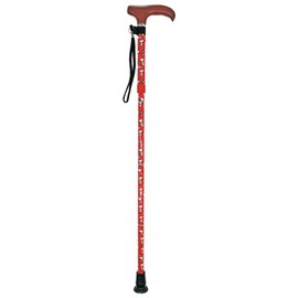 ナカジマコーポレーション ＳＮ ステッキ ＳＮ＆ＷＳ ＲＤ 184931-23