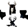 European State Skull Mount hanger - State: Wyoming