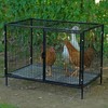 MUDUOBAN Small Chicken Coop with 4-6 Chickens,Outdoor,Predator Proof, Metal