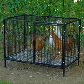 MUDUOBAN Small Chicken Coop with 4-6 Chickens,Outdoor,Predator Proof, Metal