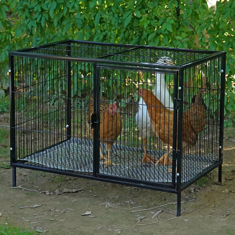 MUDUOBAN Small Chicken Coop with 4-6 Chickens,Outdoor,Predator Proof, Metal