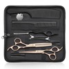 JASON Professional 10-Piece Haircut Scissors Set - 6.7" Thinning/Texturizing Scissors,