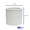 PUREBURG AS06FT-2 Replacement Filters Compatible with DH Lifelabs Aaira Mini