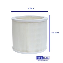 PUREBURG AS06FT-2 Replacement Filters Compatible with DH Lifelabs Aaira Mini Humidifier Hydrating Dry Air Purifier, 2-Pack