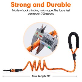 5 FT Strong Dog Leash with Comfortable Padded Handle and Highly Reflective Threads for Medium and Large Dogs (5-FT, Orange)