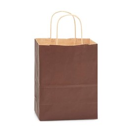 NWP Chocolate Brown Recycled Kraft Paper Shopping Bags - Cub Size - 8 x 4.75 x 10.5in. - Pack of 25