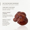 Reishi Mushroom Capsules by Bloomable I Improve Mood, Sleep, Stress