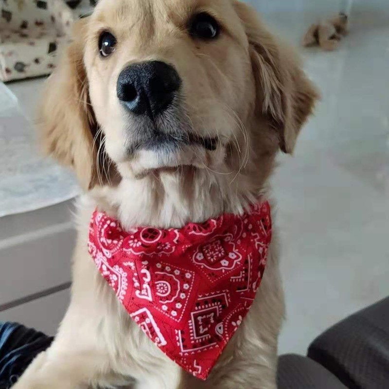 Ling & Bai 2Pcs Dog Bandana Collar Adjustable Boho Pet
