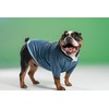 Pooch Mode Reversible Varsity Jacket Dog (X-Large)