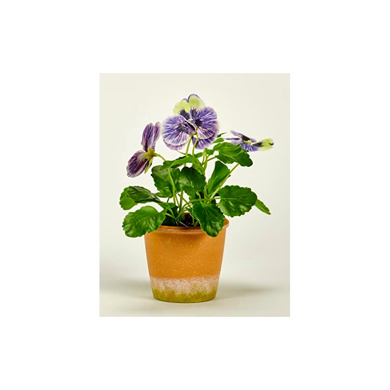 Worth Imports 10" Blue Pansy in 4" Pot Plant