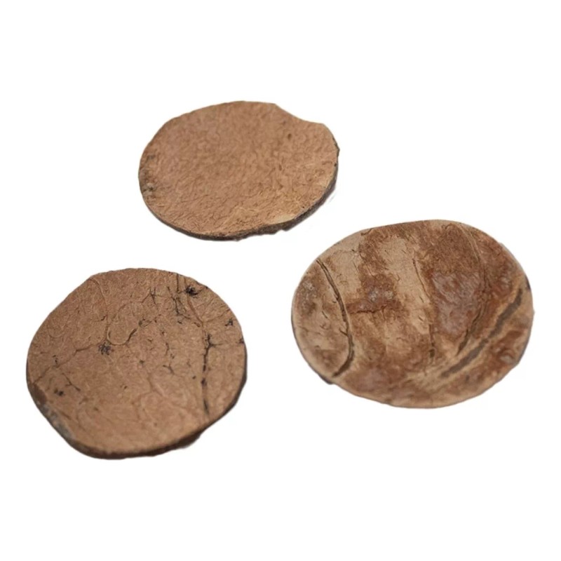 Chamalongos Cascara De Coco Juego De 5 Piezas