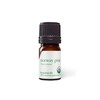 Aromatics International Pure Organic Norway Pine Essential Oil 5ml |