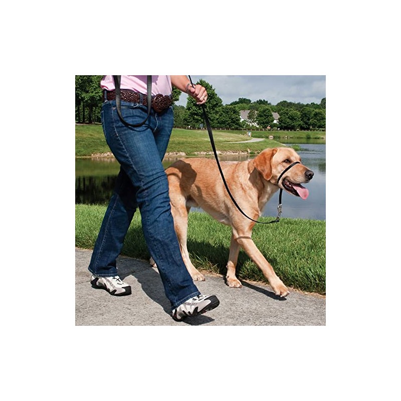 Dog Puller Headcollar Halter (Red)