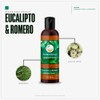 VIDA SCENTS AROMATHERAPY - Aceite Para Masaje Romero y Eucalipto