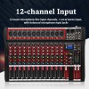Professional Audio Mixer, 12 Channel Bluetooth USB Live Studio DJ