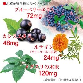 大日ヘルシーフーズ ブルーベリー ルテイン 60粒入（錠剤タイプ）×3袋 カシス メグスリの木末配合 サプリ